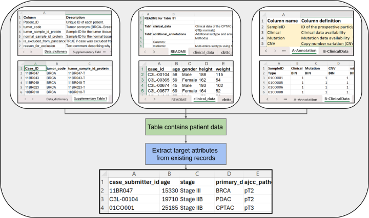 Figure illustrating the workflow for the Medical Schema Matching workload.